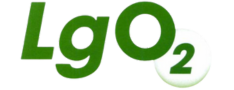 logo LGO2